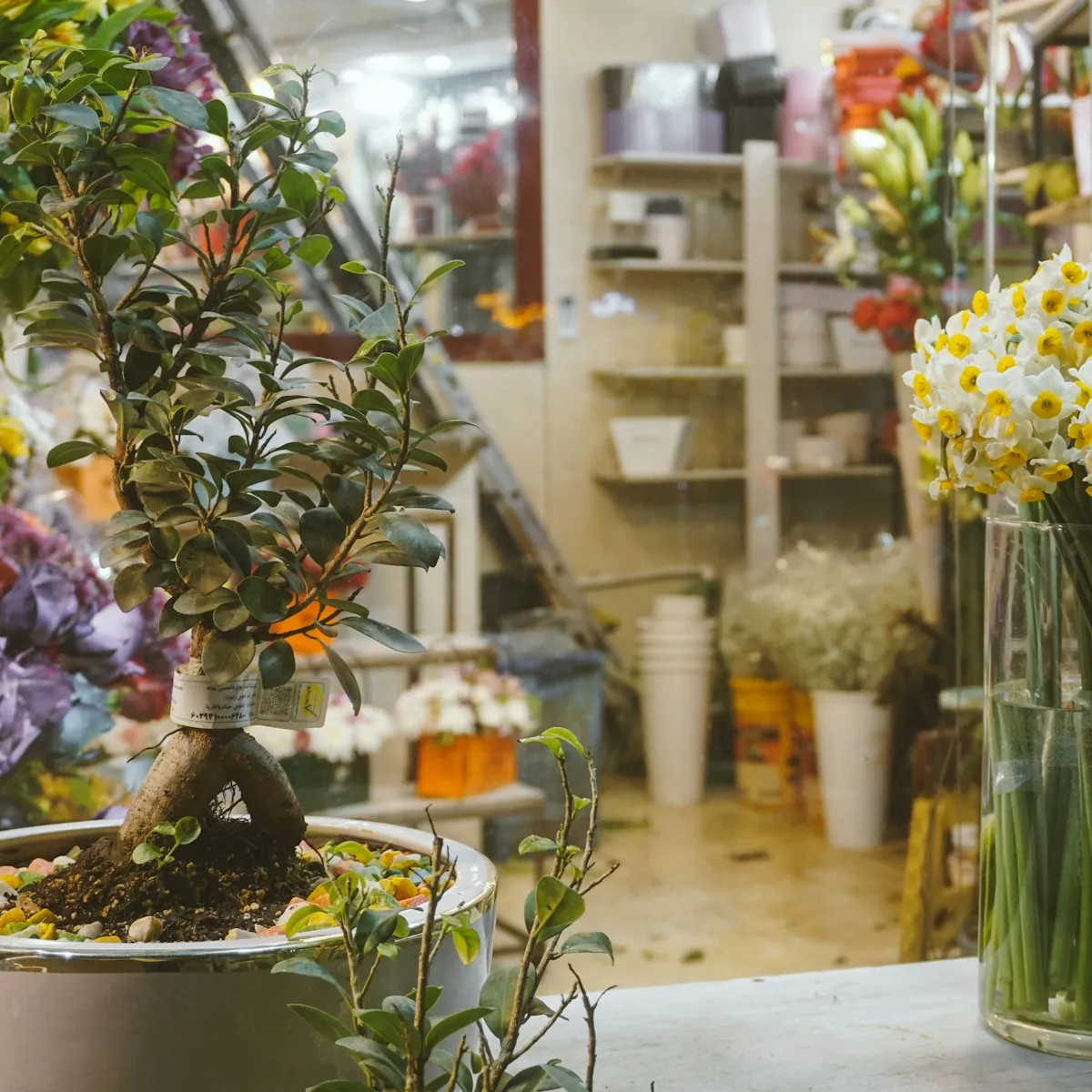 Narcisser i en glasvas på disken